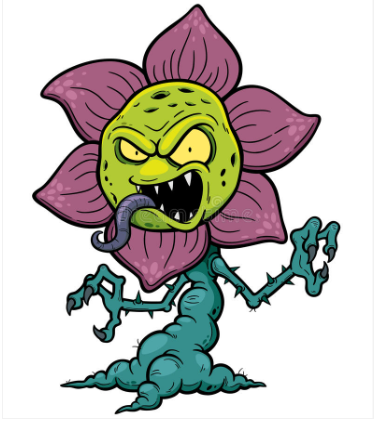 plant